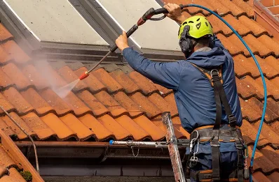 Démoussage et hydrofuge de toiture à Villargent